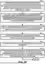 Fig. 16 - METHOD AND DEVICES FOR DETECTING VIRUSES AND BACTERIAL PATHOGENS