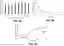 Fig. 04 - LYTIC PHAGE WITH HIGH SPECIFICITY TOWARDS PATHOGENIC ESCHERICHIA COLI