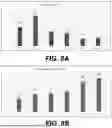 Fig. 13 - LYTIC PHAGE WITH HIGH SPECIFICITY TOWARDS PATHOGENIC ESCHERICHIA COLI