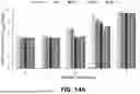 Fig. 20 - LYTIC PHAGE WITH HIGH SPECIFICITY TOWARDS PATHOGENIC ESCHERICHIA COLI