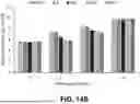 Fig. 21 - LYTIC PHAGE WITH HIGH SPECIFICITY TOWARDS PATHOGENIC ESCHERICHIA COLI
