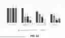 Fig. 22 - LYTIC PHAGE WITH HIGH SPECIFICITY TOWARDS PATHOGENIC ESCHERICHIA COLI