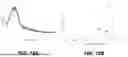 Fig. 25 - LYTIC PHAGE WITH HIGH SPECIFICITY TOWARDS PATHOGENIC ESCHERICHIA COLI