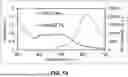 Fig. 26 - LYTIC PHAGE WITH HIGH SPECIFICITY TOWARDS PATHOGENIC ESCHERICHIA COLI