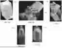 Fig. 05 - SYSTEMS AND METHODS FOR IDENTIFYING AND LABELING OBJECTS IN IMAGES USING AN INDEX