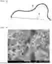 Fig. 02 - Negative Electrode and Secondary Battery Including the Negative Electrode