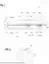 Fig. 02 - METHOD AND TOOL FOR MANUFACTURING A LAMINATED CORE OF AN ELECTRIC MACHINE