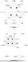 Fig. 06 - DECODING TEXELS FROM A BLOCK OF ENCODED TEXTURE DATA