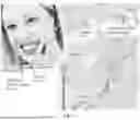 Fig. 02 - INTRA BLOCK COPY (INTRABC) COST ESTIMATION