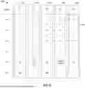 Fig. 09 - METHODS AND APPARATUS TO IDENTIFY AN EPISODE NUMBER BASED ON FINGERPRINT AND MATCHED VIEWING INFORMATION