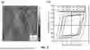 Fig. 02 - EPITAXIAL NITRIDE FERROELECTRONIC DEVICES