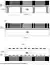 Fig. 35 - METHOD OF PACKAGING AND INTEGRATION FOR MULTI-LAYER SYSTEM