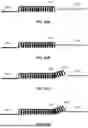 Fig. 71 - BIOIMPEDANCE-BASED FEEDBACK FOR MEDICAL PROCEDURES