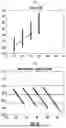 Fig. 09 - BLOOD VESSEL IMAGE CALIBRATION METHOD AND DEVICE