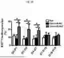 Fig. 06 - COMPOSITIONS AND METHODS FOR CARDIAC REGENERATION