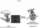 Fig. 09 - COMPOSITIONS AND METHODS FOR CARDIAC REGENERATION