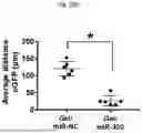 Fig. 45 - COMPOSITIONS AND METHODS FOR CARDIAC REGENERATION