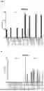 Fig. 02 - NOVEL COMPOSITIONS FOR REDUCING METHANE PRODUCTION IN RUMINANT ANIMALS
