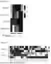Fig. 09 - PHARMACEUTICAL COMPOSITION FOR TREATING AND/OR PREVENTING RENAL CYSTIC CILIOPATHY