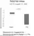 Fig. 01 - USES OF SELECTIVE ANDROGEN RECEPTOR MODULATOR (SARM) COMPOUNDS IN CHRONIC WEIGHT MANAGEMENT