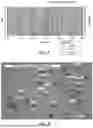 Fig. 06 - FORMULATION OF LONG-ACTING LEVONORGESTREL BUTANOATE INJECTABLE DEPOT SUSPENSION