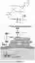 Fig. 02 - COMPOSITIONS COMPRISING STING AGONISTS AND METHODS OF USE FOR TREATING GLIOMA