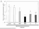 Fig. 02 - METHOD FOR PREPARING FERMENTED HOVENIA DULCIS THUNB HAVING HANGOVER RELIEF AND LIVER PROTECTION EFFECTS, AND BEVERAGE COMPOSITION PREPARED USING SAME AS MAIN INGREDIENT