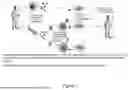 Fig. 02 - CELLULAR REPROGRAMMING BY TARGETING THE GOLGI APPARATUS