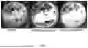 Fig. 08 - FLASH SINTERING WITH ELECTRICAL AND MAGNETIC FIELDS
