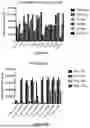 Fig. 03 - Bispecific Constructs for Target and Complement Engagement