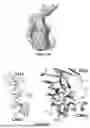Fig. 05 - Bispecific Constructs for Target and Complement Engagement