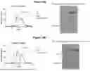 Fig. 12 - Bispecific Constructs for Target and Complement Engagement