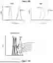 Fig. 15 - Bispecific Constructs for Target and Complement Engagement