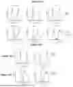 Fig. 16 - Bispecific Constructs for Target and Complement Engagement