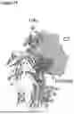 Fig. 26 - Bispecific Constructs for Target and Complement Engagement
