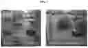 Fig. 08 - HIGH HEAT-RESISTANT CARBON NANOSTRUCTURE POLYMER COMPOSITE AND HYBRID COMPOSITE INCLUDING THE SAME