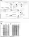 Fig. 02 - PRODUCTION OF PSYCHEDELIC COMPOUNDS