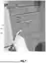 Fig. 08 - WALL FINISHING SYSTEM