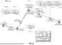 Fig. 07 - MULTI-ENTITY ADAPTIVE TRIP ACTIVITY AND DATA SECURITY MANAGEMENT SYSTEM