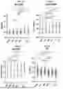 Fig. 03 - Methods and Compositions for Assessing and Treating Lupus
