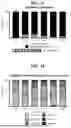 Fig. 10 - Methods and Compositions for Assessing and Treating Lupus