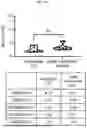 Fig. 103 - Methods and Compositions for Assessing and Treating Lupus
