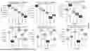 Fig. 158 - Methods and Compositions for Assessing and Treating Lupus