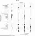 Fig. 162 - Methods and Compositions for Assessing and Treating Lupus