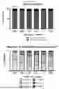 Fig. 47 - Methods and Compositions for Assessing and Treating Lupus