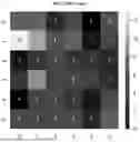 Fig. 63 - Methods and Compositions for Assessing and Treating Lupus