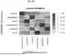 Fig. 65 - Methods and Compositions for Assessing and Treating Lupus