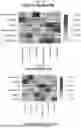 Fig. 67 - Methods and Compositions for Assessing and Treating Lupus