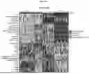 Fig. 72 - Methods and Compositions for Assessing and Treating Lupus