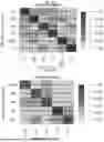 Fig. 82 - Methods and Compositions for Assessing and Treating Lupus